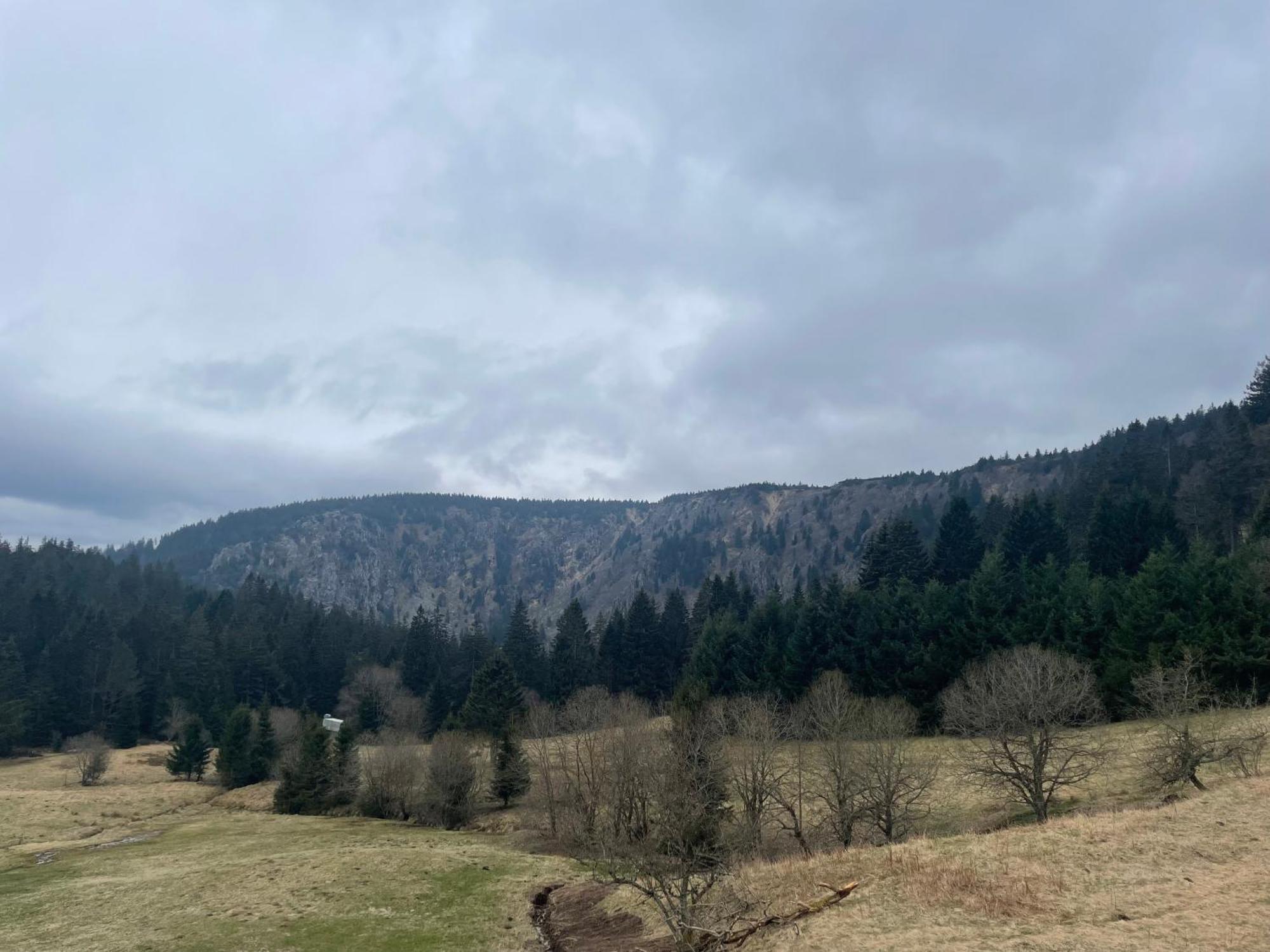 Appartement - Au Coeur Du Lac Blanc Orbey Eksteriør billede